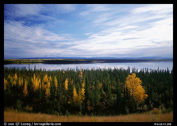 Forest, Willow Lake, and Wrangell range in the distance. Wrangell-St Elias National Park (color)
