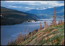 Wide Chitina river. Wrangell-St Elias National Park, Alaska, USA. (color)