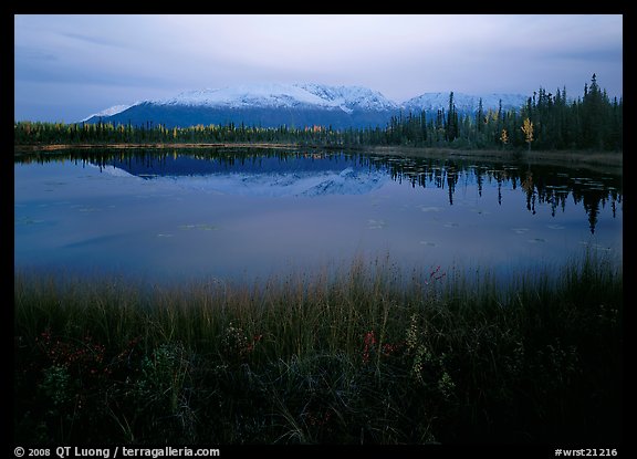 Pond with mountain reflections at dusk, near Chokosna. Wrangell-St Elias National Park, Alaska, USA.