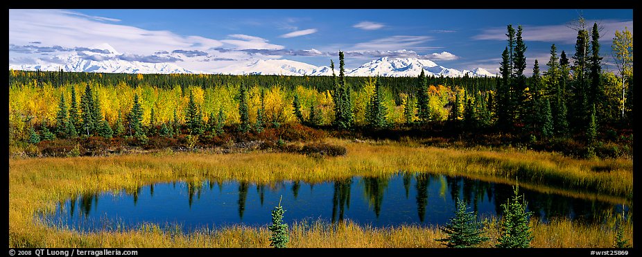 Autumn landscape with pond, forest, and distant mountains. Wrangell-St Elias National Park (color)