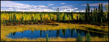 Autumn landscape with pond, forest, and distant mountains. Wrangell-St Elias National Park, Alaska, USA.