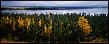 Autumn scenery with forest, lake, and distant mountains. Wrangell-St Elias National Park, Alaska, USA.