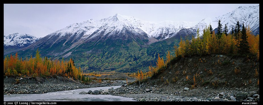 Autumn mountain landscape with snowy peaks above river and trees. Wrangell-St Elias National Park (color)