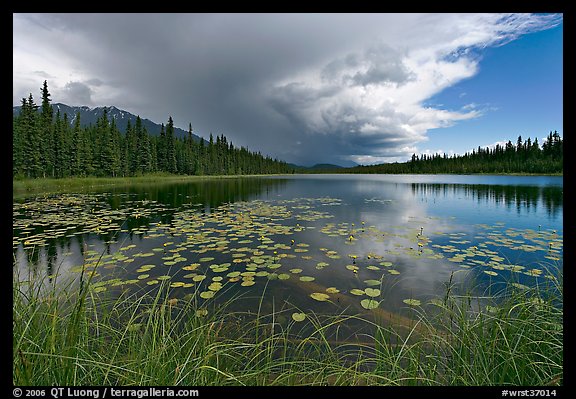 Crystal Lake with starting afternoon shower. Wrangell-St Elias National Park (color)