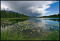 Crystal Lake with starting afternoon shower. Wrangell-St Elias National Park, Alaska, USA. (color)