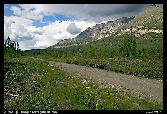 McCarthy road and mountains. Wrangell-St Elias National Park, Alaska, USA.