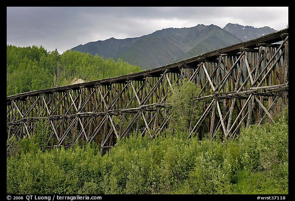 Historic Railroad trestle crossing valley. Wrangell-St Elias National Park, Alaska, USA.