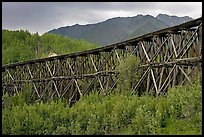 Historic Railroad trestle crossing valley. Wrangell-St Elias National Park, Alaska, USA. (color)