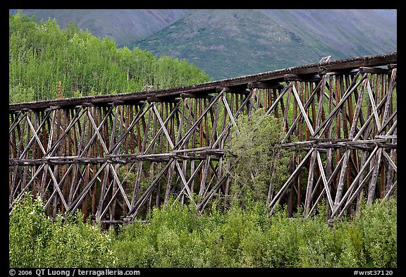 Section of Gilahina trestle constructed in 1911. Wrangell-St Elias National Park (color)