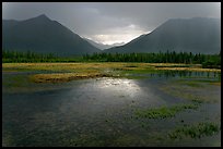 Storm light on lake. Wrangell-St Elias National Park, Alaska, USA.