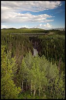 Aspen, Kuskulana canyon and bridge. Wrangell-St Elias National Park, Alaska, USA. (color)