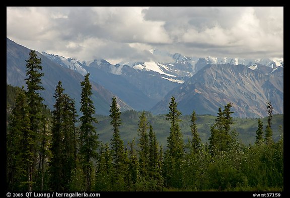 Spruce and Nutzotin Mountains. Wrangell-St Elias National Park, Alaska, USA.