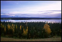 Mt Wrangell and Willow Lake, morning. Wrangell-St Elias National Park, Alaska, USA. (color)