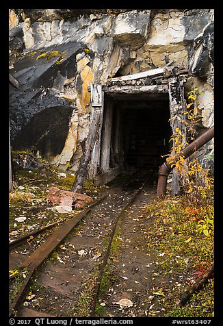 Entrance to Rambler mine. Wrangell-St Elias National Park (color)