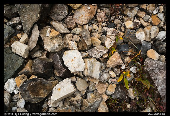 Ground close-up with blocks of limestone and marble, Nabesna mine. Wrangell-St Elias National Park, Alaska, USA.