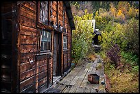 Abandonned cabins and boardwalk. Wrangell-St Elias National Park ( color)