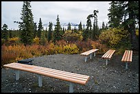 Amphitheater, Kendesnii campground. Wrangell-St Elias National Park ( color)
