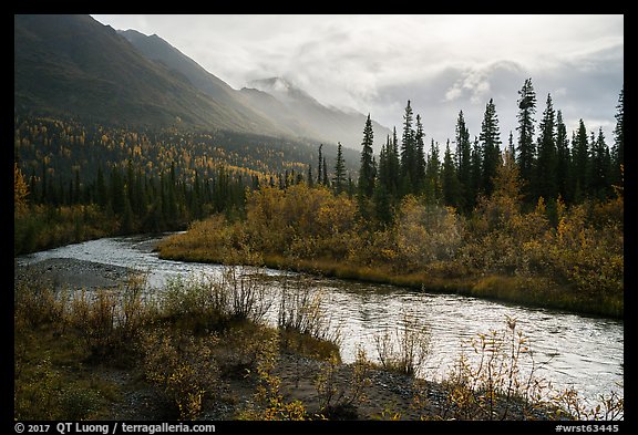 Jack Creek in autumn. Wrangell-St Elias National Park, Alaska, USA.