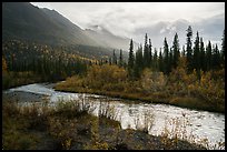 Jack Creek in autumn. Wrangell-St Elias National Park ( color)