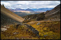 View over valley from Skookum Volcano. Wrangell-St Elias National Park ( color)
