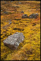 Rocks and tundra. Wrangell-St Elias National Park ( color)