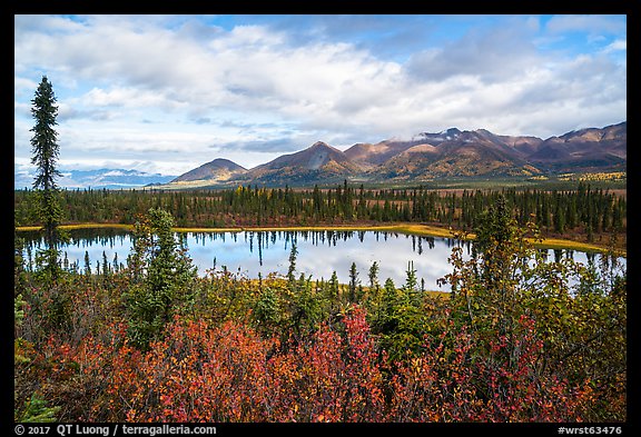 Tundra in autumn and Lake along Nabesna Road. Wrangell-St Elias National Park, Alaska, USA.