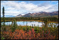 Tundra in autumn and Lake along Nabesna Road. Wrangell-St Elias National Park ( color)