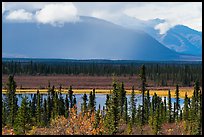 Wrangell Mountains from Nabesna Road in autumn. Wrangell-St Elias National Park, Alaska, USA.