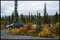 Kendesnii campground. Wrangell-St Elias National Park, Alaska, USA.