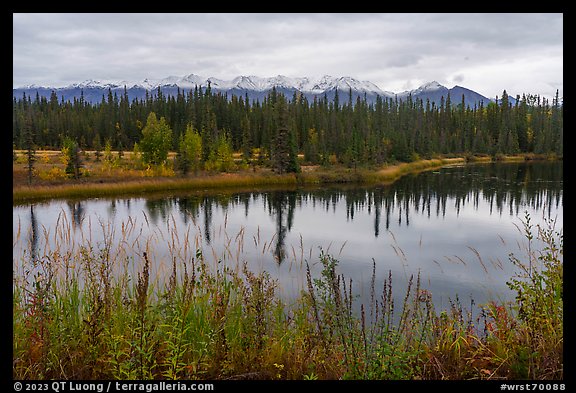 Pond in autumn with spruce and snowy mountains. Wrangell-St Elias National Park, Alaska, USA.