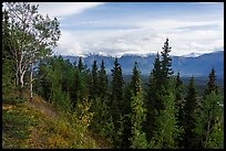 Chitina Valley from Crystaline Hills. Wrangell-St Elias National Park ( color)