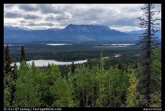 Moose Lake and Chitina Valley. Wrangell-St Elias National Park, Alaska, USA.