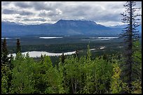 Moose Lake and Chitina Valley. Wrangell-St Elias National Park ( color)
