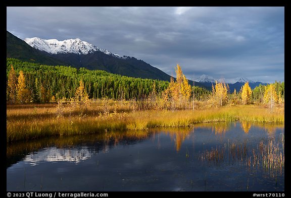 Snowy mountains and aspens reflected in Ruth Lake. Wrangell-St Elias National Park (color)