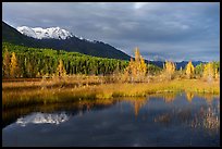 Snowy mountains and aspens reflected in Ruth Lake. Wrangell-St Elias National Park ( color)
