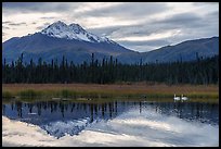 Swans and snowy peak reflected in lake. Wrangell-St Elias National Park ( color)