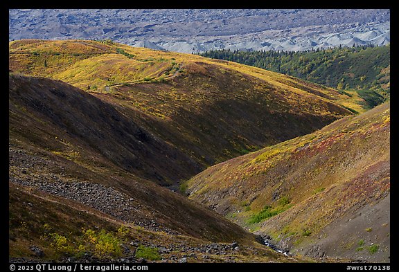 Valley carved by Bonanza Creek. Wrangell-St Elias National Park (color)