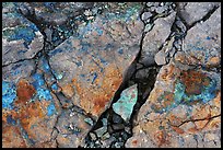 Close-up of rocks with colorful copper minerals. Wrangell-St Elias National Park ( color)