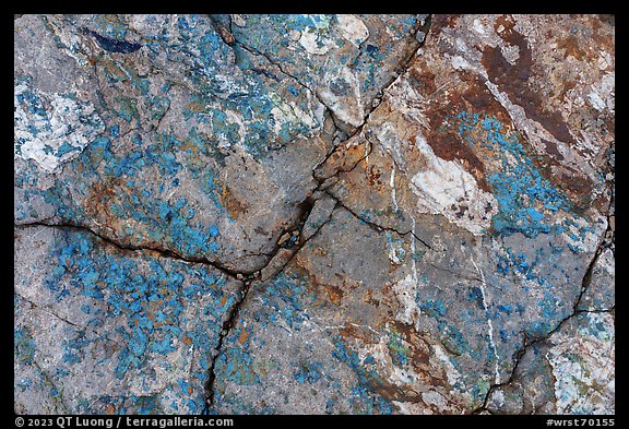 Close-up of blue copper minerals on rocks. Wrangell-St Elias National Park, Alaska, USA.