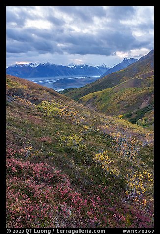 Tundra in autumn, Kennicott Glacier, and Wrangell Range. Wrangell-St Elias National Park (color)
