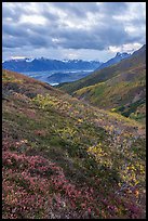 Tundra in autumn, Kennicott Glacier, and Wrangell Range. Wrangell-St Elias National Park ( color)