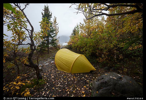 Tent at Jumbo Creek campsite and Root Glacier. Wrangell-St Elias National Park, Alaska, USA.