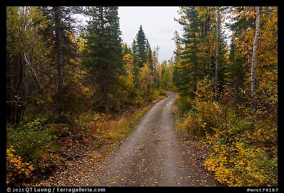 Old Wagon Road. Wrangell-St Elias National Park, Alaska, USA.