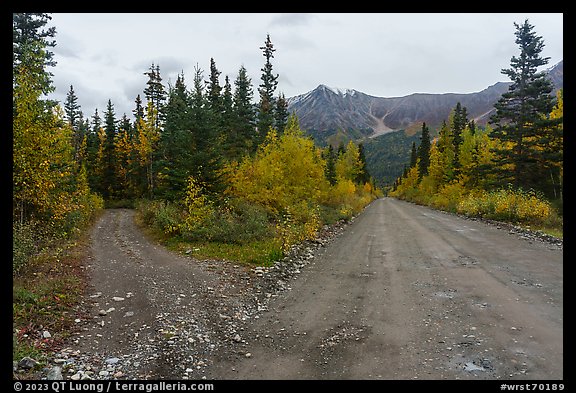 Old Wagon Road and new road. Wrangell-St Elias National Park, Alaska, USA.