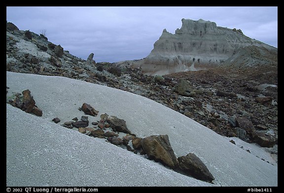 Low white mounds of compacted volcanic ash near Tuff Canyon. Big Bend National Park