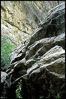Rocks in Santa Elena Canyon. Big Bend National Park ( color)