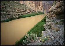 Rio Grande in Santa Elena Canyon. Big Bend National Park, Texas, USA. (color)