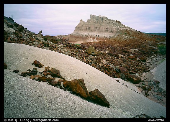 Low white mounds of compacted volcanic ash near Tuff Canyon. Big Bend National Park (color)