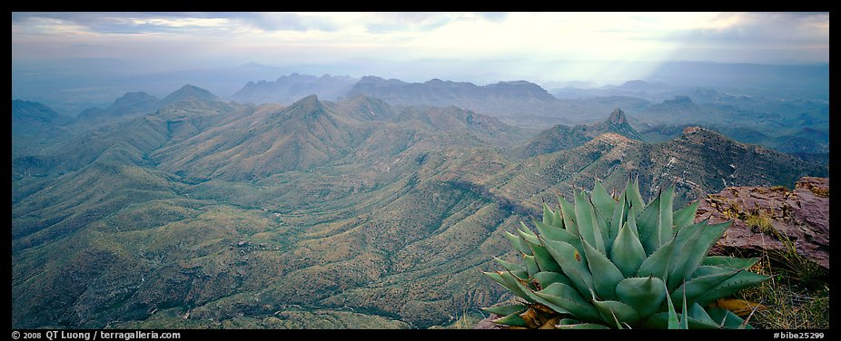 Century plant and desert mountains from South Rim. Big Bend National Park, Texas, USA.