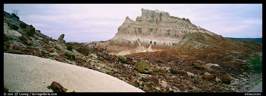 Landscape of white volcanic ash and rocks. Big Bend National Park (color)